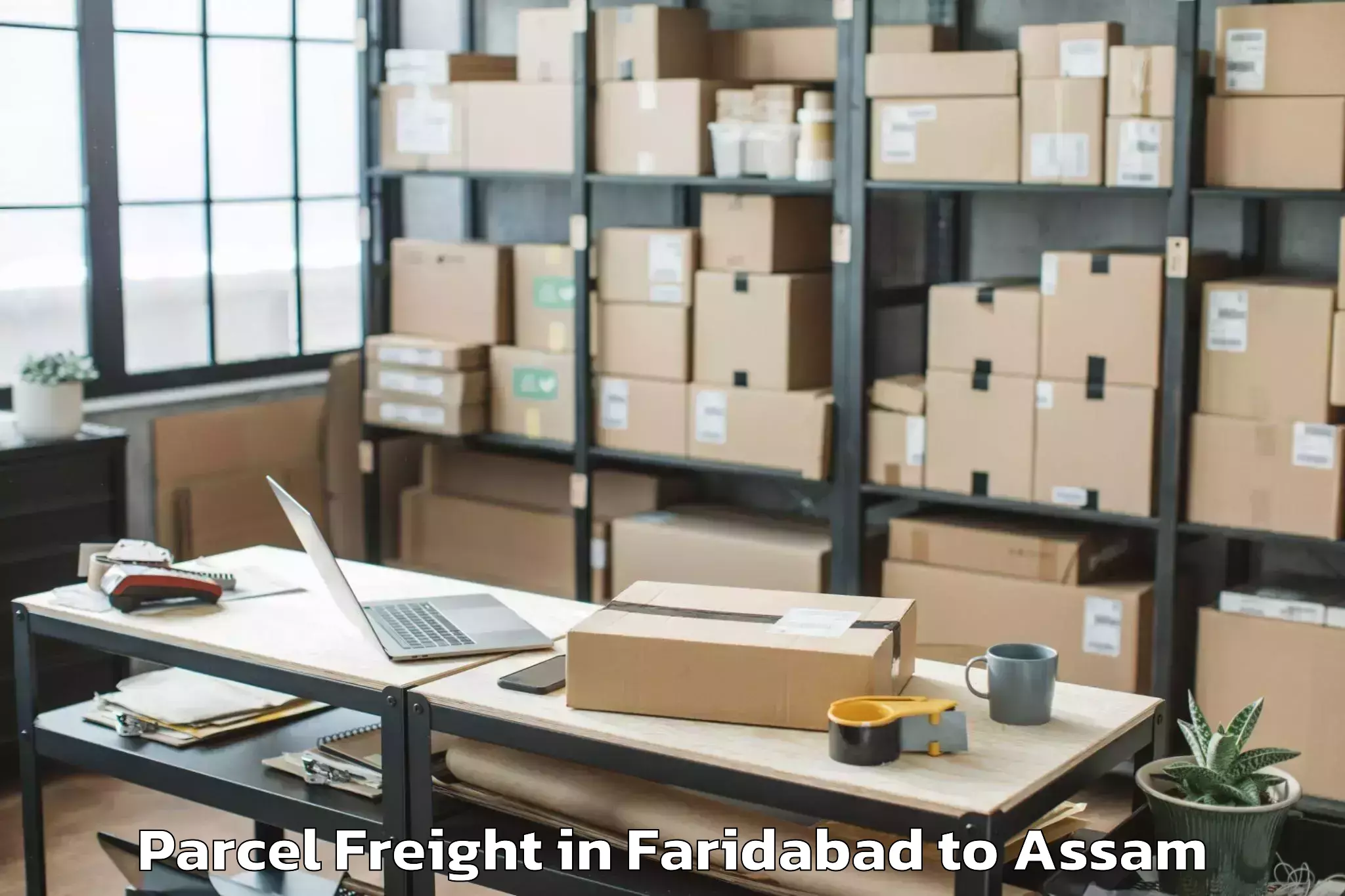 Easy Faridabad to Biswanath Charali Parcel Freight Booking